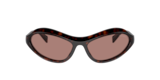 Root tartarugato