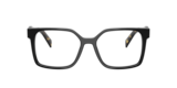 Black/Medium Tortoise/Black