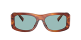 Zenzero a righe