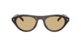 Root tartarugato
