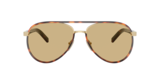Root tartarugato
