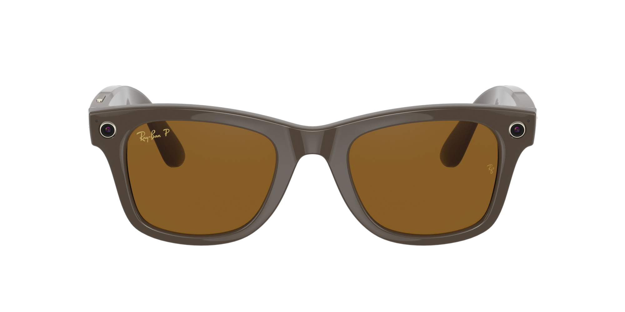 wayfarer marroni