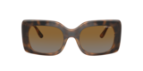 Top Havana/Marrone