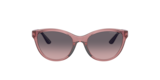 Shiny Lillac/Violet